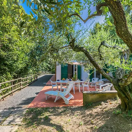 Holiday home Holiday Home Podere Gli Olivi By Interhome Nibbiaia